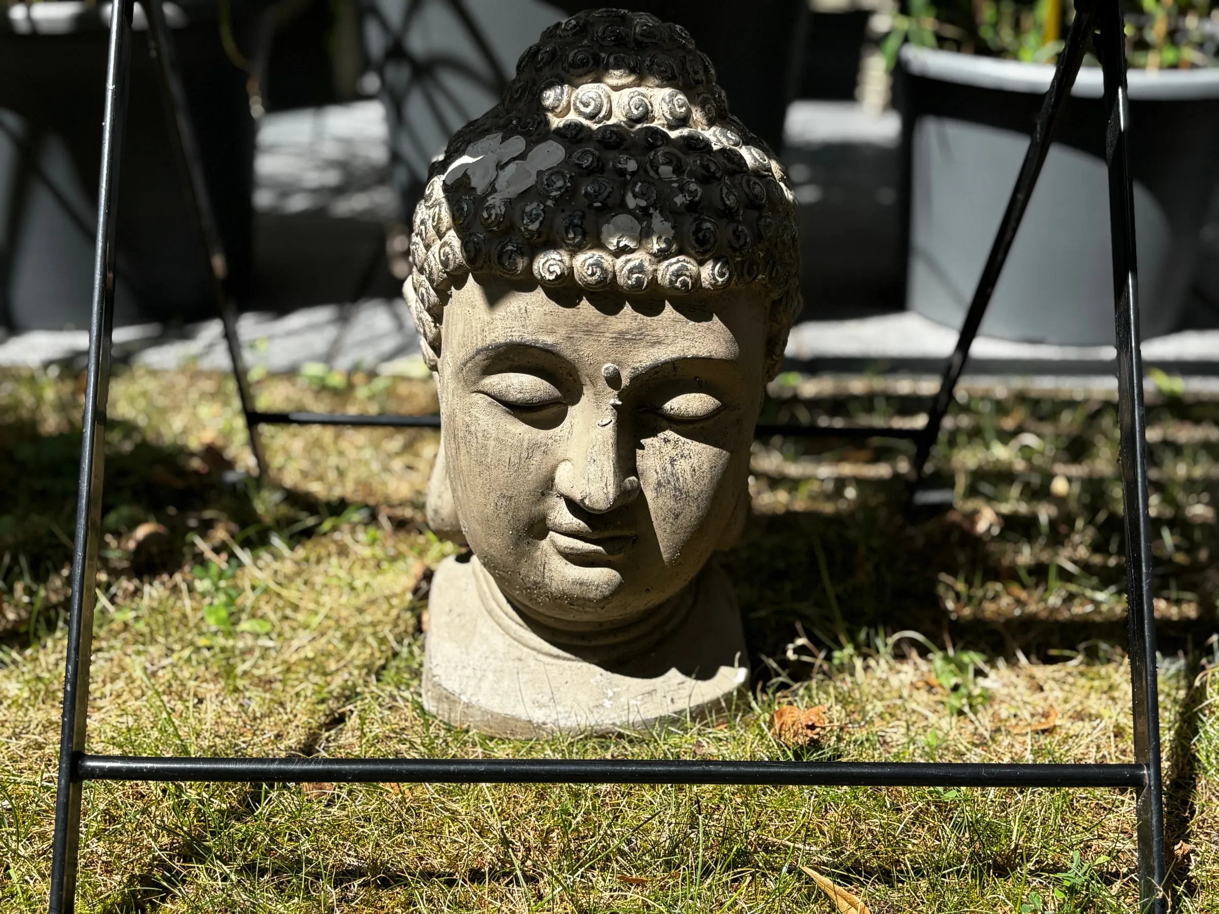 Steinerner Buddha-Kopf im Garten, im warmen Sonnenlicht